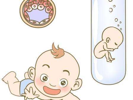 关于私人同性供卵代孕报价多少